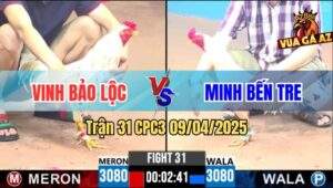 Trận 31 CPC3 9/4/2025 - Gà Úa Má Minh Tiễn Gà Bướm Anh Vinh Lên Đường