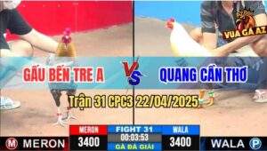 Trận 31 CPC3 22/4/2025 - Anh Gấu Bến Tre A Và Anh Quang Cần Thơ