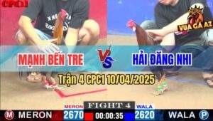Trận 4 CPC1 10/4/2025 - Gà Anh Mạnh Đá Gà Anh Hải Đăng Nhi Chạy Chết