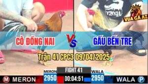 Trận 41 CPC3 9/4/2025 - Gà Chuối Anh Gấu Bến Tre Đâm Không Bỏ Chân Nào