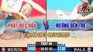 Trận 48 CPC3 9/4/2025 - Gà Bướm Anh Hưởng Kém 3 Chấm Đá Bự Như Con