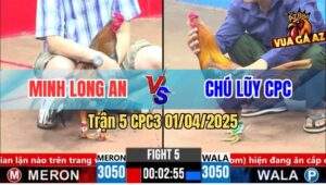 Trận 5 CPC3 1/4/2025 - Điều Bông Má Minh Đâm Khét Chú Lũy Nằm Đống