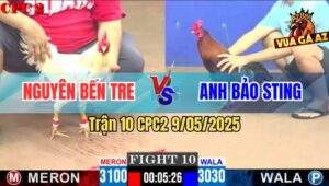 Trận 10 CPC2 9/5/2025 - Gà Điều Anh Bảo Sting Dính Cây Nách Xì Cơm