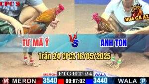 Trận 24 CPC2 16/5/2025 – Anh Tư Mã Ý Vs Anh Ton