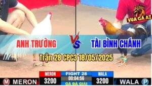 Trận 28 CPC3 18/5/2025 - Gà Khét Anh Tài Hạ Sát Đối Thủ Giành 3 Điểm