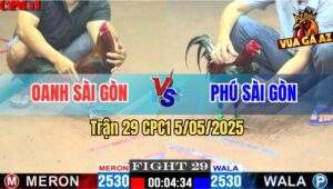 Trận 29 CPC1 5/5/2025 - Anh Phú Sửa Gà Lội Ngược Dòng Quá Đẳng Cấp
