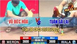 Trận 30 CPC3 31/5/2025 - Anh Vũ Đức Hòa Được 9 Điểm Sau 3 Vòng Đấu