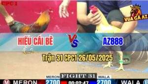 Trận 31 CPC1 26/5/2025 - Gà Anh Hiếu Đâm Gà Bướm AZ888 Lìa Cái Giò