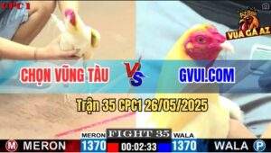 Trận 35 CPC1 26/5/2025 - Gà Úa GVUI.COM Chịu Đòn Lấy 3 Điểm Đầu Tiên