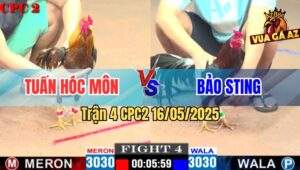 Trận 4 CPC2 16/5/2025 – Anh Tuấn Hóc Môn Vs Anh Bảo Sting
