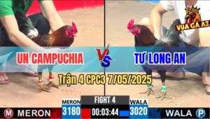 Trận 4 CPC3 7/5/2025 - Gà Que Anh Tư Nhỏ Má Đâm Bự Gỡ Cự Không Kịp