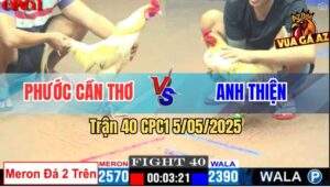 Trận 40 CPC1 5/5/2025 - Gà Anh Thiện Nhỏ Mà Có Võ 1 Cước Lấy Lúa