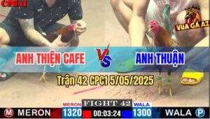 Trận 42 CPC1 5/5/2025 - Anh Thiên Cafe Rớt Nài Với Anh Thuận
