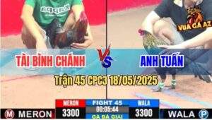 Trận 45 CPC3 18/5/2025 - Chúc Mừng Anh Tài Bình Chánh Lên Ngôi Vô Địch
