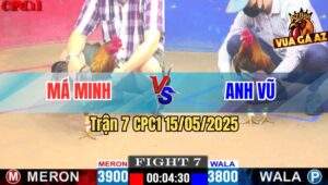 Trận 7 CPC1 15/5/2025 – Anh Minh Long An Vs Anh Vũ