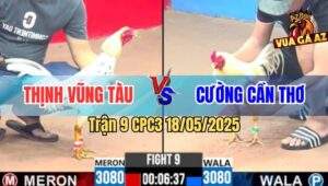 Trận 9 CPC3 18/5/2025 - Gà Bướm Anh Thịnh Chưa Đá Đã Gãy Giò Nằm Đống