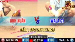 Trận 1 CPC1 28/06/2025 - Gà Khét Anh Xuân Siết 3 Chân Đâm Ói Gà Wala C1