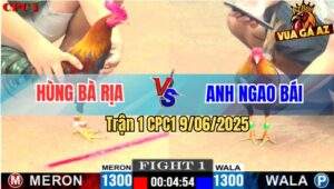 Trận 1 CPC1 9/6/2025 - Anh Ngao Bái Mở Bát Lụm Gọn Anh Hùng Bà Rịa