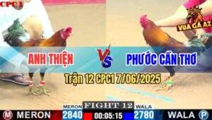 Trận 12 CPC1 7/6/2025 - Gà Anh Phước Cần Thơ Đá Đúng 1 Cược Có Kết Quả