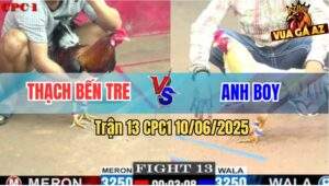 Trận 13 CPC1 10/6/2025 - Điều Anh Thạch Quá Trâu Bướm Đâm Không Thấm