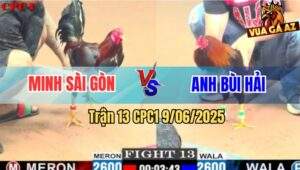 Trận 13 CPC1 9/6/2025 - Gà Điều Anh Bùi Hải Chay Như Máy Sới