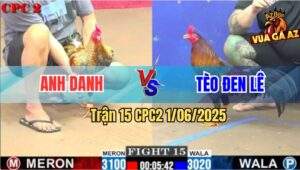 Trận 15 CPC2 1/6/2025 - Cú Anh Danh Hạ Sát Điều Anh Tèo Đen 1 Tay Nước