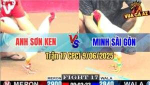 Trận 17 CPC1 9/6/2025 - Anh Sơn Ken Đụng Anh Minh Sài Gòn
