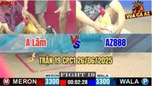 Trận 19 CPC1 26/06/2025 - Gà Anh Lâm Đá Mấy Chân Hạ Gà AZ888