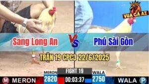 Trận 19 CPC3 22/06/2025 - Gà Phú Sài Gòn Đá Mấy Chân Lụm Lúa