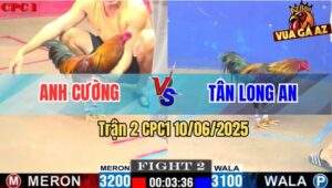 Trận 2 CPC1 10/6/2025 - Anh Cường Đụng Anh Tân Long An