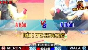 Trận 2 CPC2 27/06/2025 - Anh Tuấn Hóc Môn Lụm Xổ Anh Hào Quá Dễ Dàng