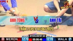 Trận 2 CPC1 30/06/2025 - Gà Chuối Đá Quá Lực Ghim Cựa Ngay Đầu Hạ Khét