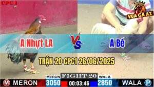 Trận 20 CPC1 26/06/2025 - Gà Anh Nhựt Long An Đá Bo Quá Lực