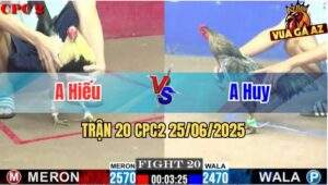 Trận 20 CPC2 25/06/2025 - Gà Xám Anh Huy Đá Phản 1 Cây Thắng Luôn
