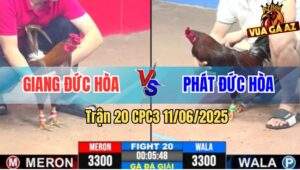 Trận 20 CPC3 11/6/2025 - Anh Giang Đức Hào Gặp Anh Phát Đức Hòa