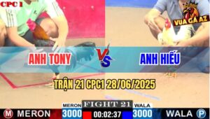 Trận 21 CPC1 28/06/2025 - Gà Bướm Dính Cây Đầu Cần Quá Nặng Xỉu Tại Chỗ