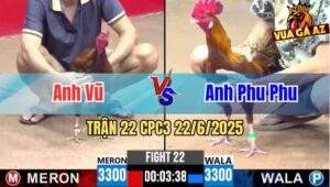 Trận 22 CPC3 22/06/2025 - Gà Anh Vũ Hạ Gọn Anh Phu Phu