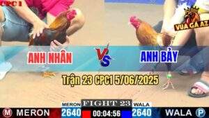 Trận 23 CPC1 5/6/2025 - Điều Việt Lai Anh Nhân Đá Camelo Chạy La Làng