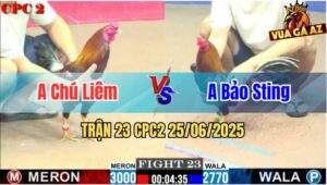 Trận 23 CPC2 25/06/2025 - Chú Liêm Vs Bảo Sting, Trận Hoà Mãn Nhãn
