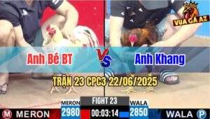 Trận 23 CPC3 22/06/2025 - Gà Anh Khang Canh Chặn Quá Khôn Khéo