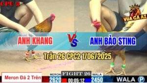 Trận 26 CPC2 1/6/2025 - Gà Điều Đâm Khét Anh Bảo Sting Té Lên Té Xuống