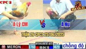 Trận 26 CPC2 25/06/2025 - Gà Cú Anh Lý Cà Mau Đá Nhanh Thắng Gọn