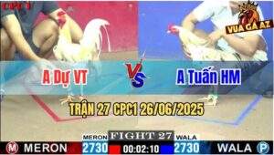 Trận 27 CPC1 26/06/2025 - Anh Dự Vũng Tàu Vs Anh Tuấn Hóc Môn