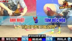 Trận 27 CPC1 7/6/2025 - Gà Khét Anh Nhật Đâm Cựa Như Máy Điện