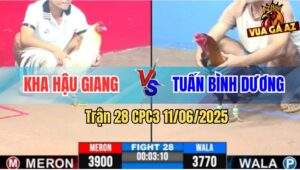 Trận 28 CPC3 11/6/2025 - Bướm Anh Kha 1 Sút Có Kết Quả Ngay Lập Tức