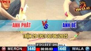 Trận 29 CPC1 30/06/2025 - Gà Chuối Nạp Cựa Hiểm Đâm Điều Lết Không Nổi