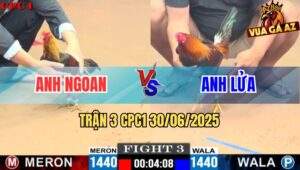 Trận 3 CPC1 30/06/2025 - Gà Điều Phản 1 Cựa Ngay Đầu Cần Lật Kèo 5 Lai