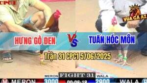 Trận 31 CPC1 5/6/2025 - Anh Hưng Gò Đen Và Anh Tuấn Hóc Môn