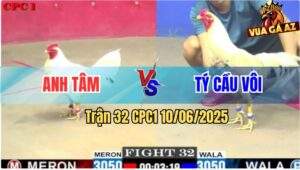 Trận 32 CPC1 10/6/2025 - Bướm Anh Tý Đá 1 Chân Gà Úa Chạy Kêu Miệng