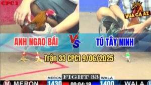 Trận 33 CPC1 9/6/2025 - Anh Ngao Bái Đụng Anh Tú Tây Ninh